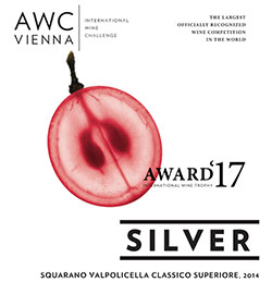 award17 silver squarano